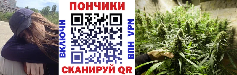 Бошки марихуана Bruce Banner  блэк спрут как зайти  Гудермес  купить  цена 